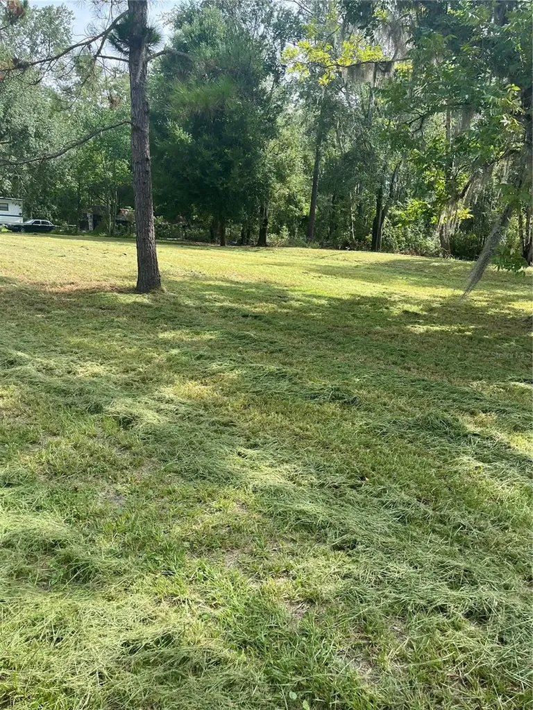 11226 Clarence Bennett Road Sanderson FL 32087