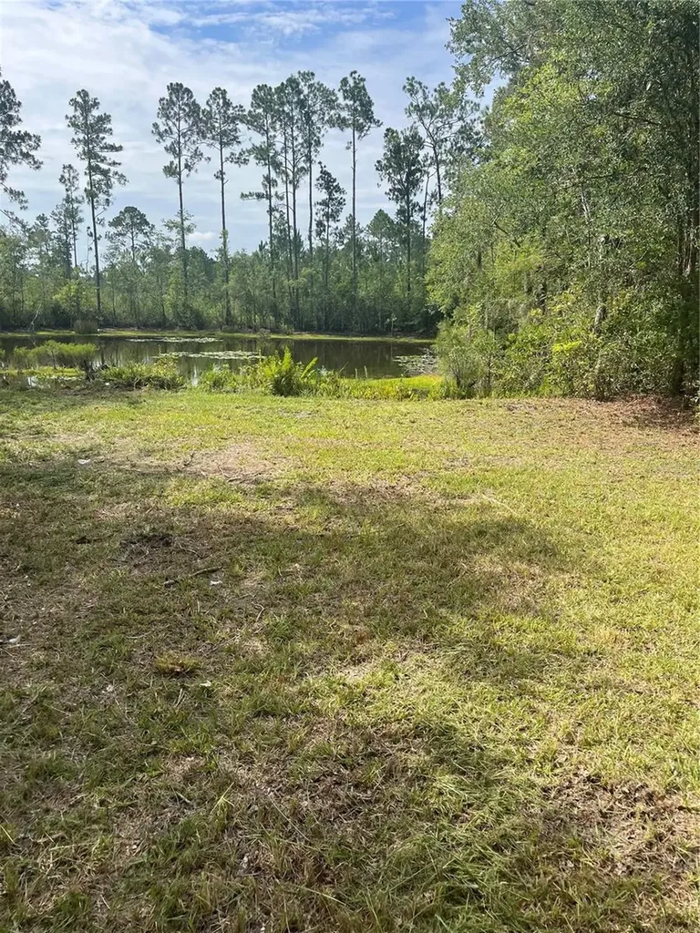 11226 Clarence Bennett Road Sanderson FL 32087