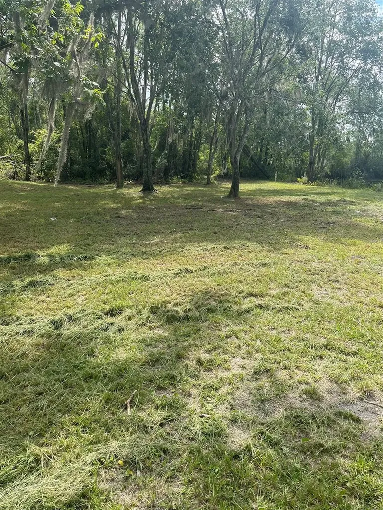 11226 Clarence Bennett Road Sanderson FL 32087