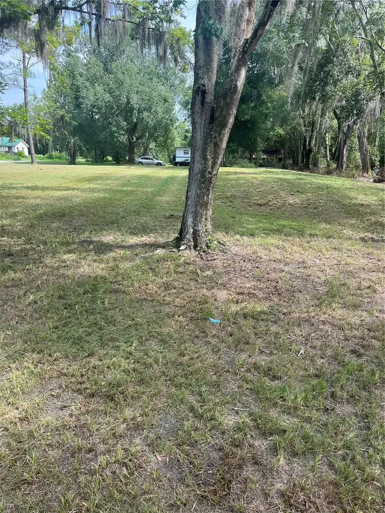 11226 Clarence Bennett Road Sanderson FL 32087