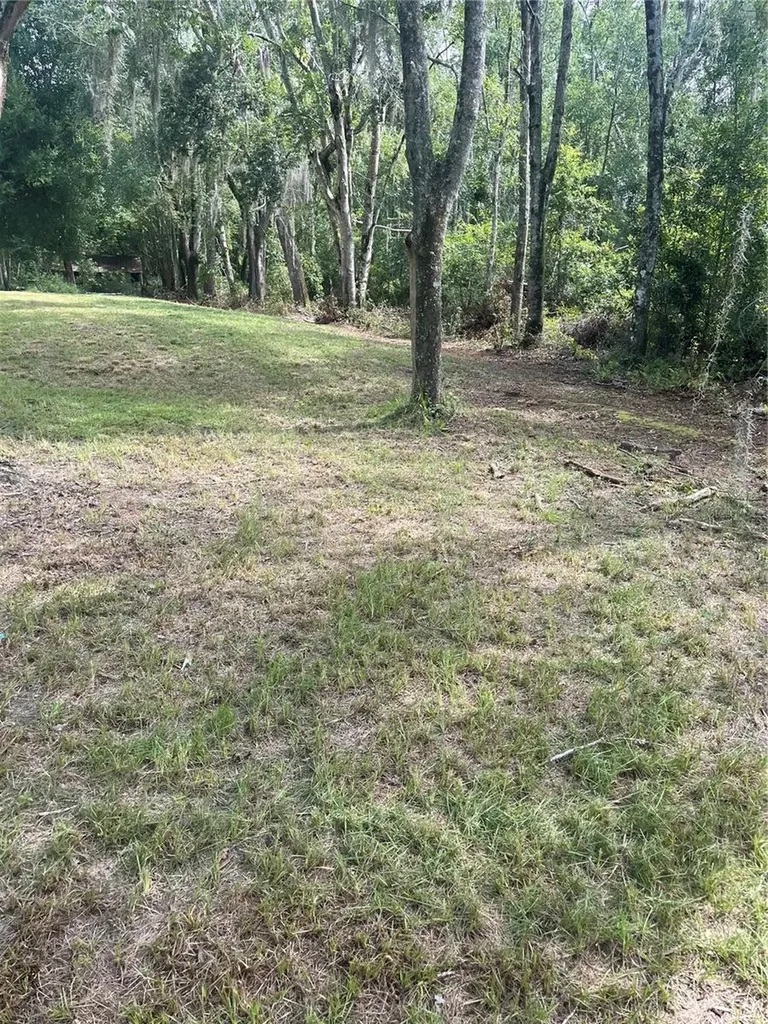 11226 Clarence Bennett Road Sanderson FL 32087