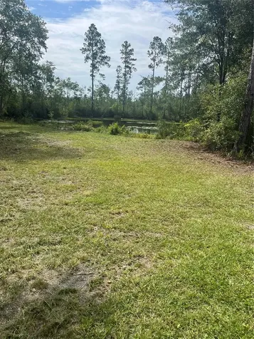 11226 Clarence Bennett Road Sanderson FL 32087