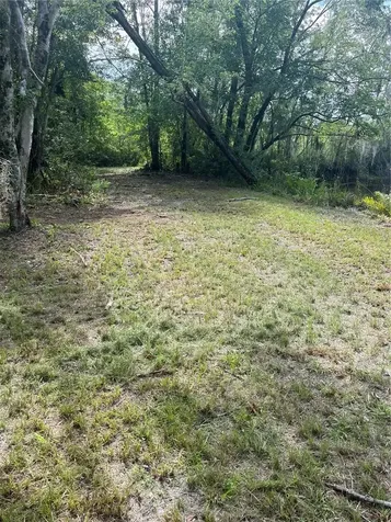 11226 Clarence Bennett Road Sanderson FL 32087