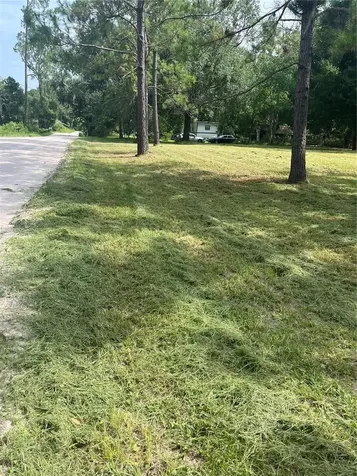 11226 Clarence Bennett Road Sanderson FL 32087