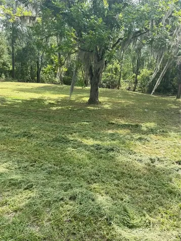11226 Clarence Bennett Road Sanderson FL 32087