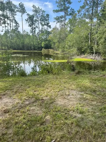 11226 Clarence Bennett Road Sanderson FL 32087