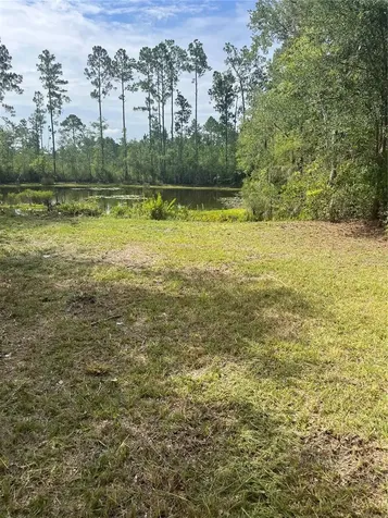 11226 Clarence Bennett Road Sanderson FL 32087