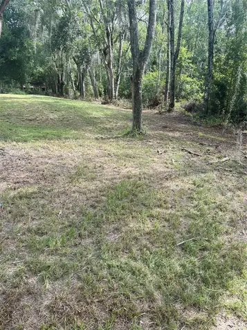 11226 Clarence Bennett Road Sanderson FL 32087