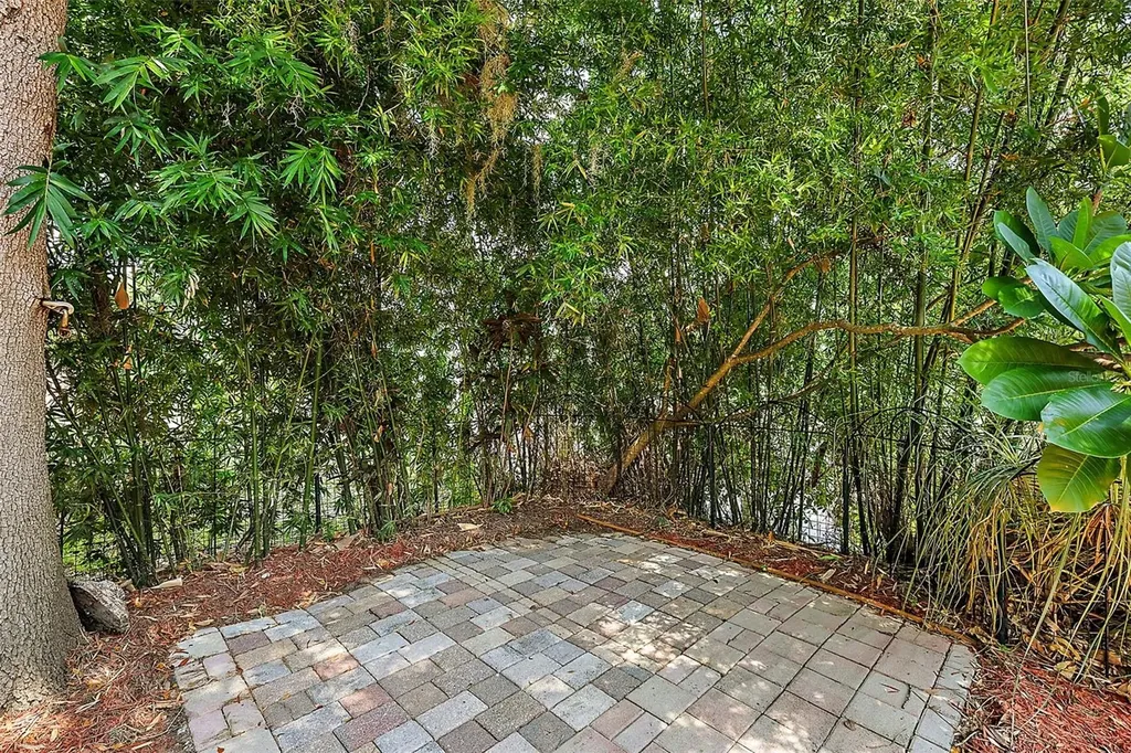 507 Lakeshore Drive Eustis FL 32726