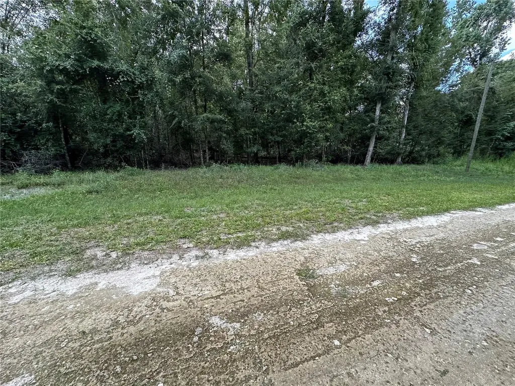 Tbd SW Reno Way Fort White FL 32038