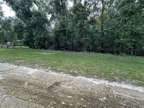 Tbd SW Reno Way Fort White FL 32038