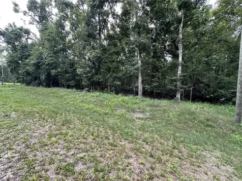 Tbd SW Reno Way Fort White FL 32038