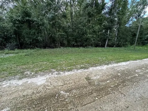 Tbd SW Reno Way Fort White FL 32038