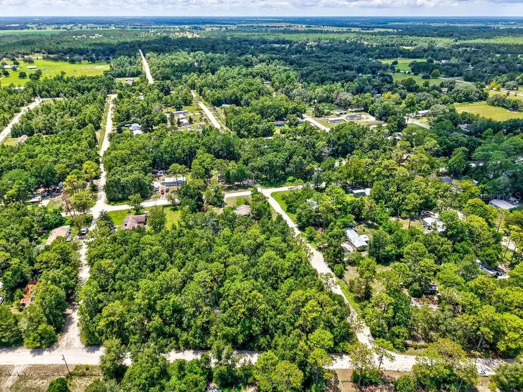 NE 51st Place Williston FL 32696