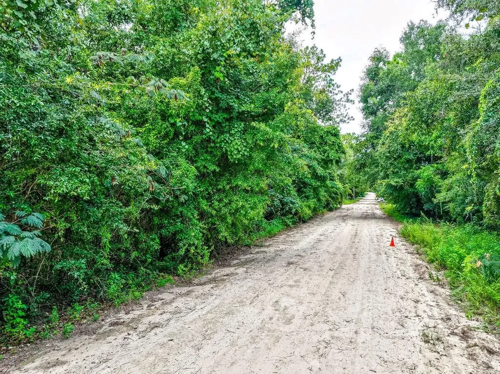 NE 51st Place Williston FL 32696