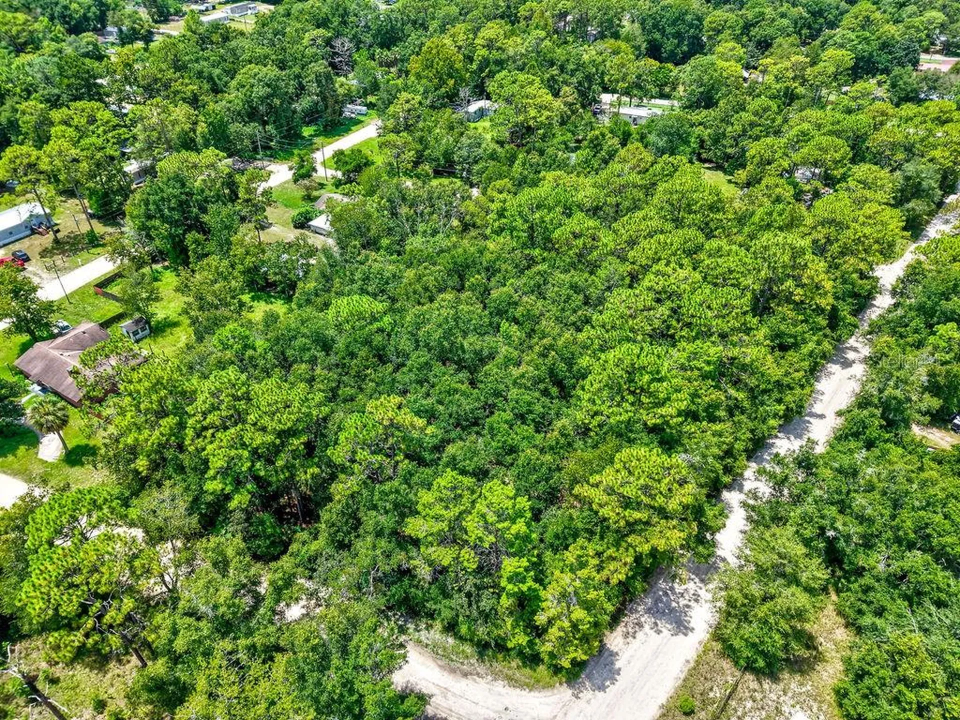 NE 51st Place Williston FL 32696