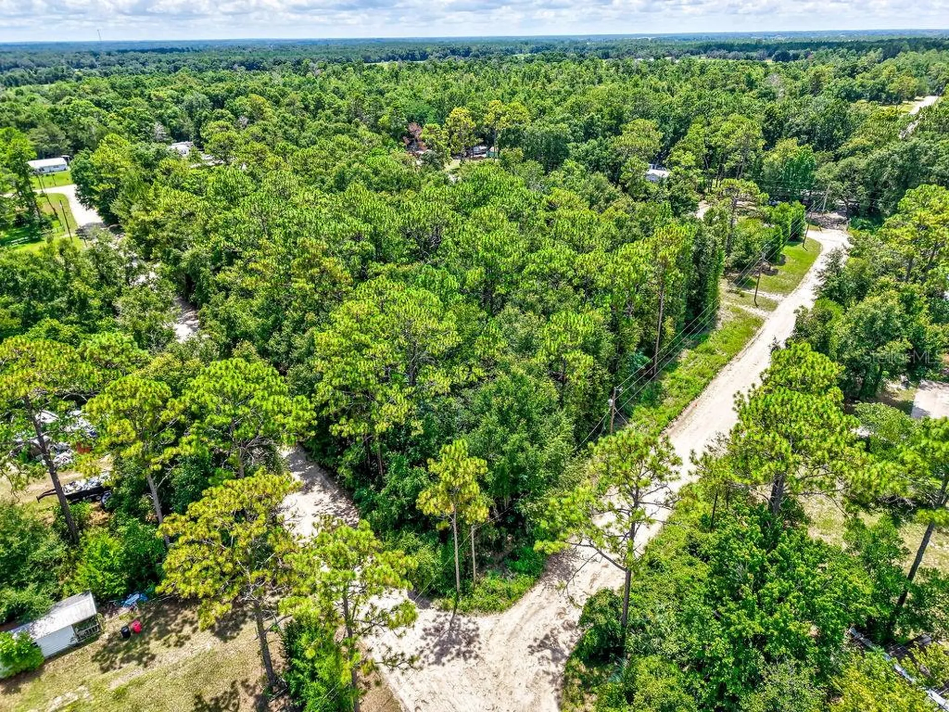 NE 51st Place Williston FL 32696