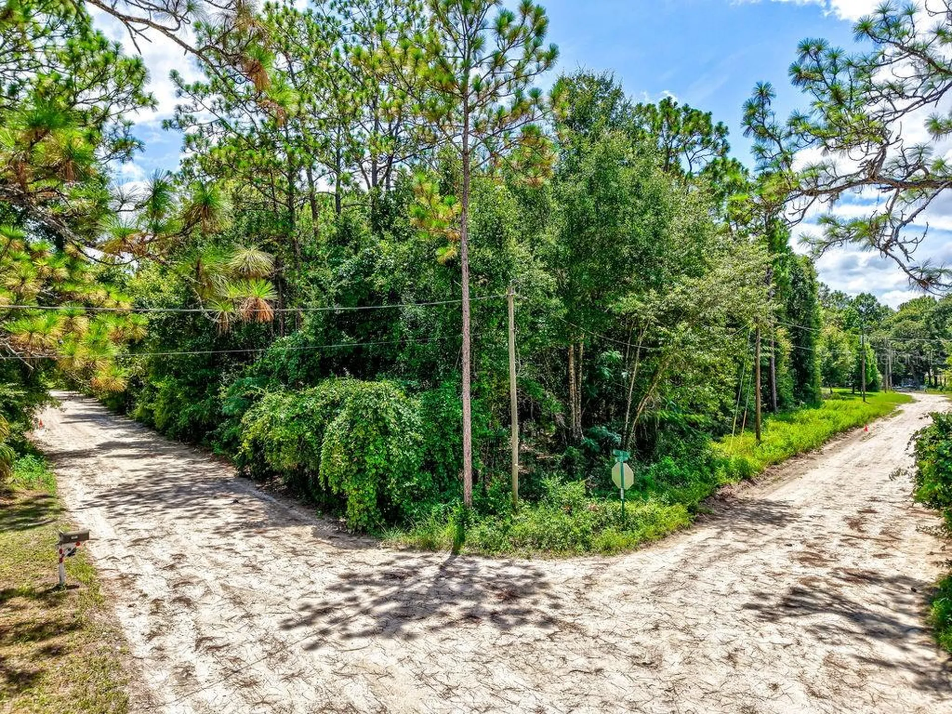 NE 51st Place Williston FL 32696