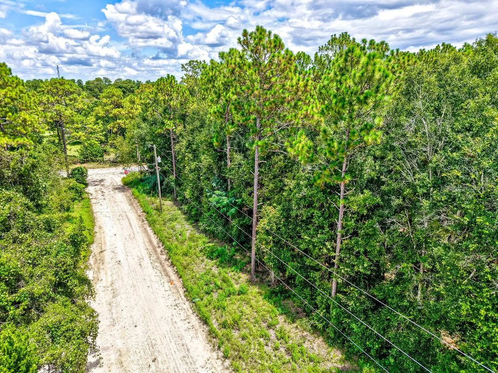NE 51st Place Williston FL 32696