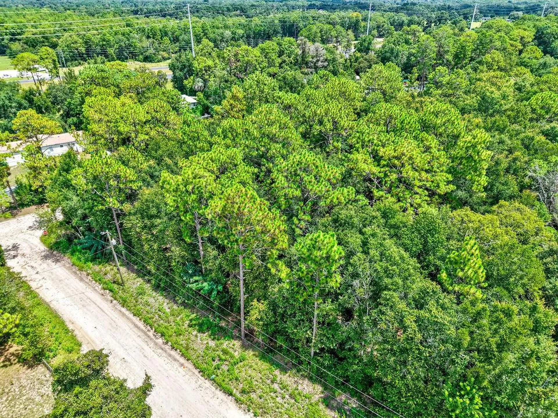 NE 51st Place Williston FL 32696