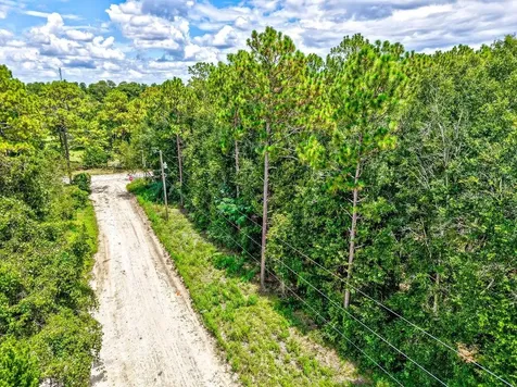 NE 51st Place Williston FL 32696
