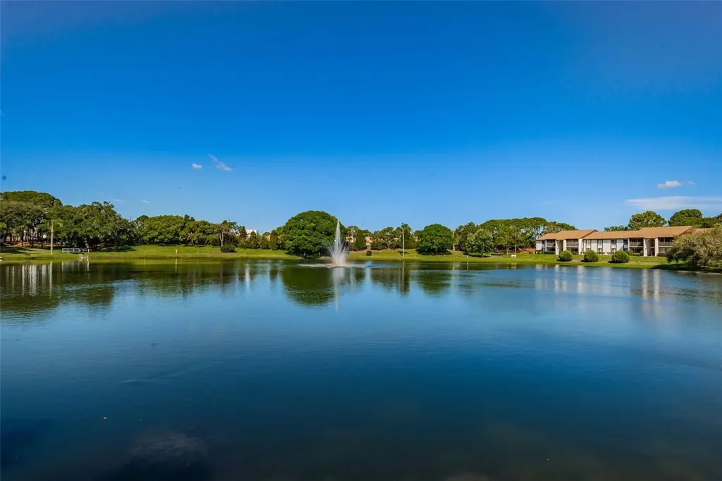 2575 Pine Ridge Way S Palm Harbor FL 34684
