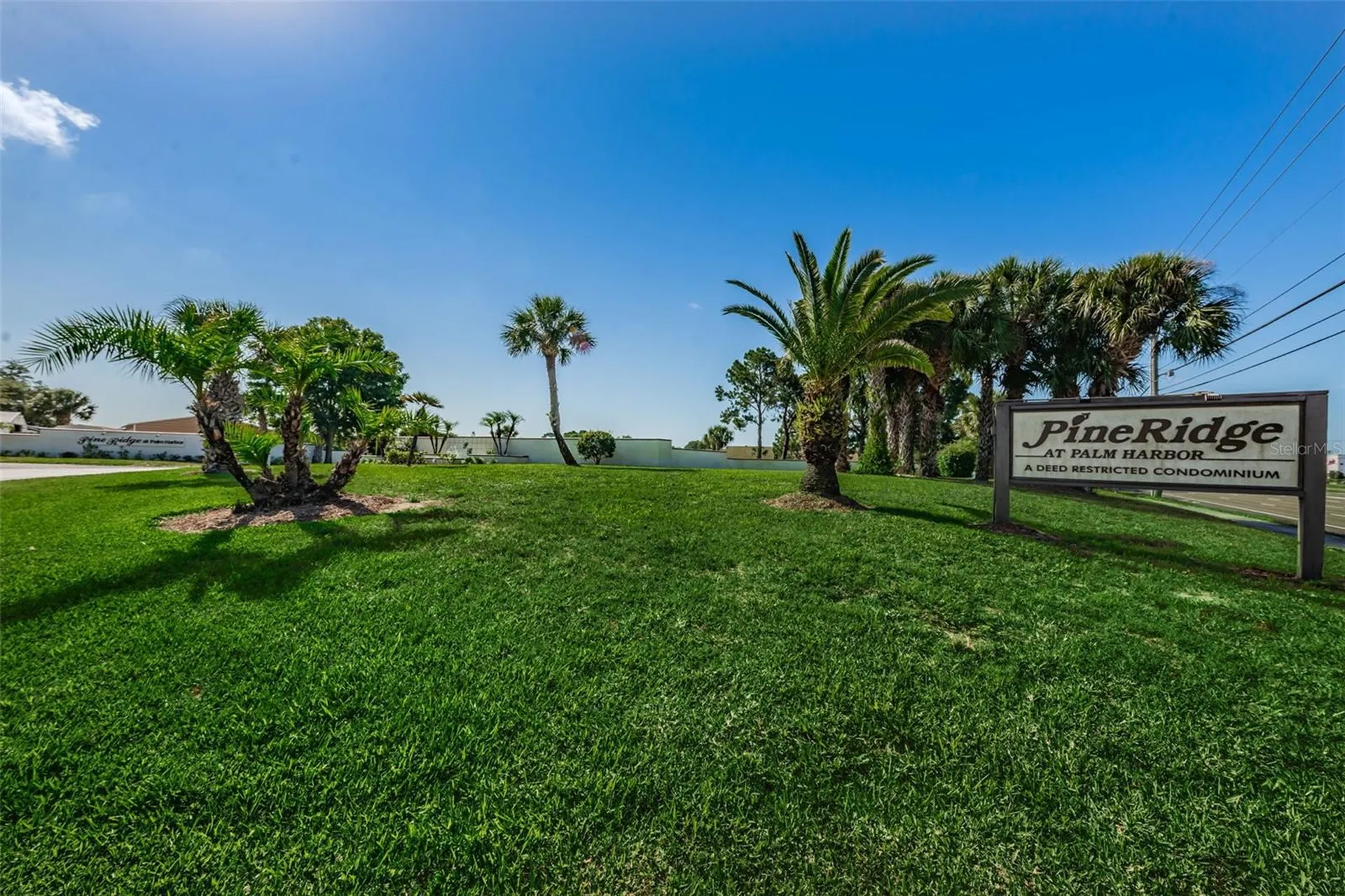 2575 Pine Ridge Way S Palm Harbor FL 34684