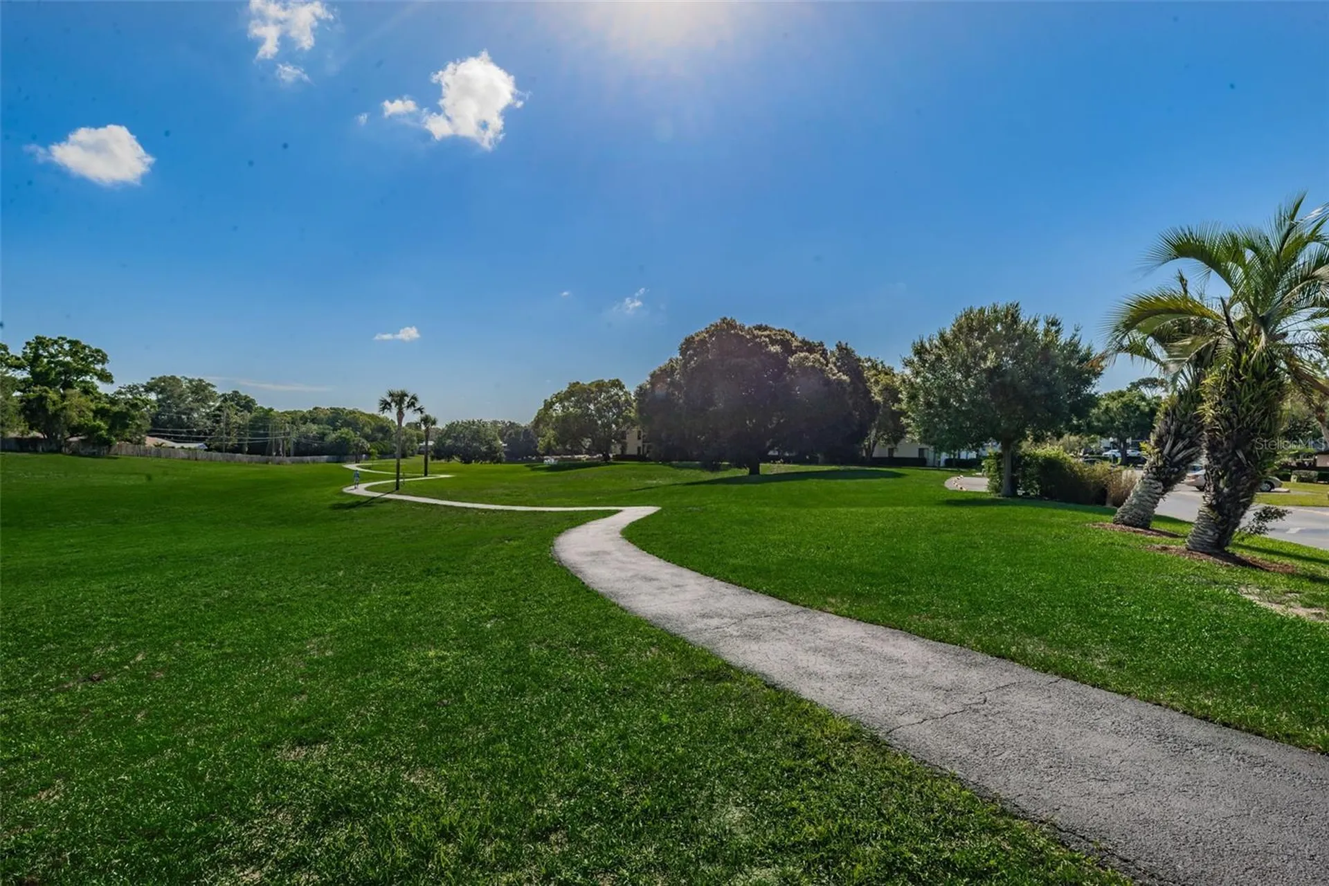2575 Pine Ridge Way S Palm Harbor FL 34684