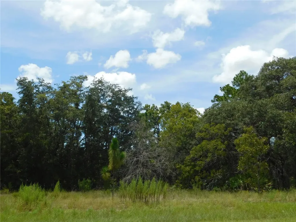 6681 N Bedstrow Boulevard Dunnellon FL 34434
