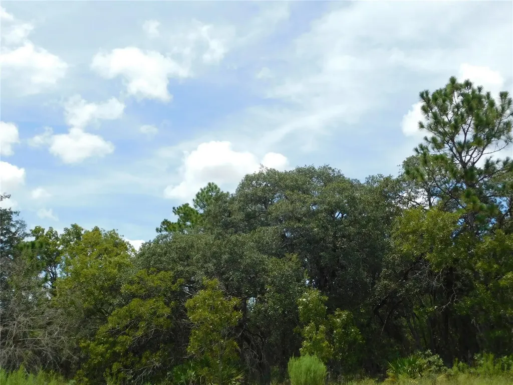 6681 N Bedstrow Boulevard Dunnellon FL 34434