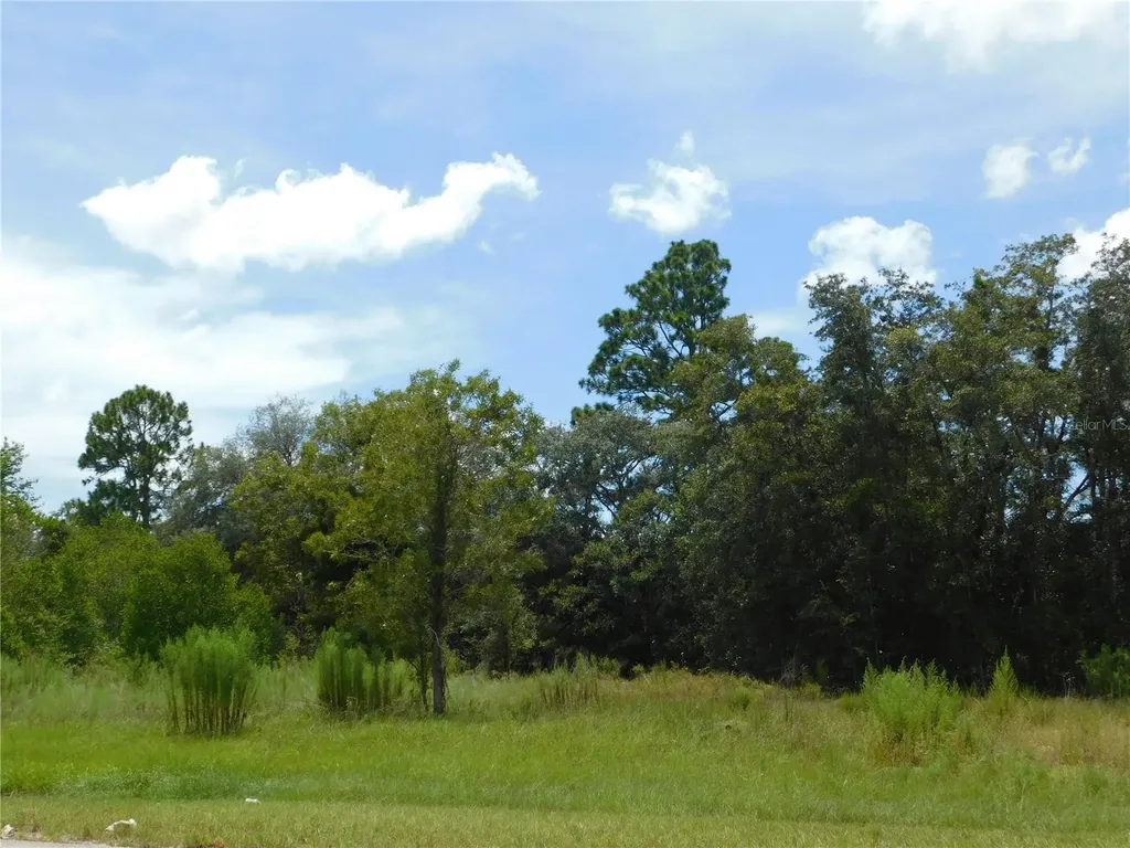 6681 N Bedstrow Boulevard Dunnellon FL 34434