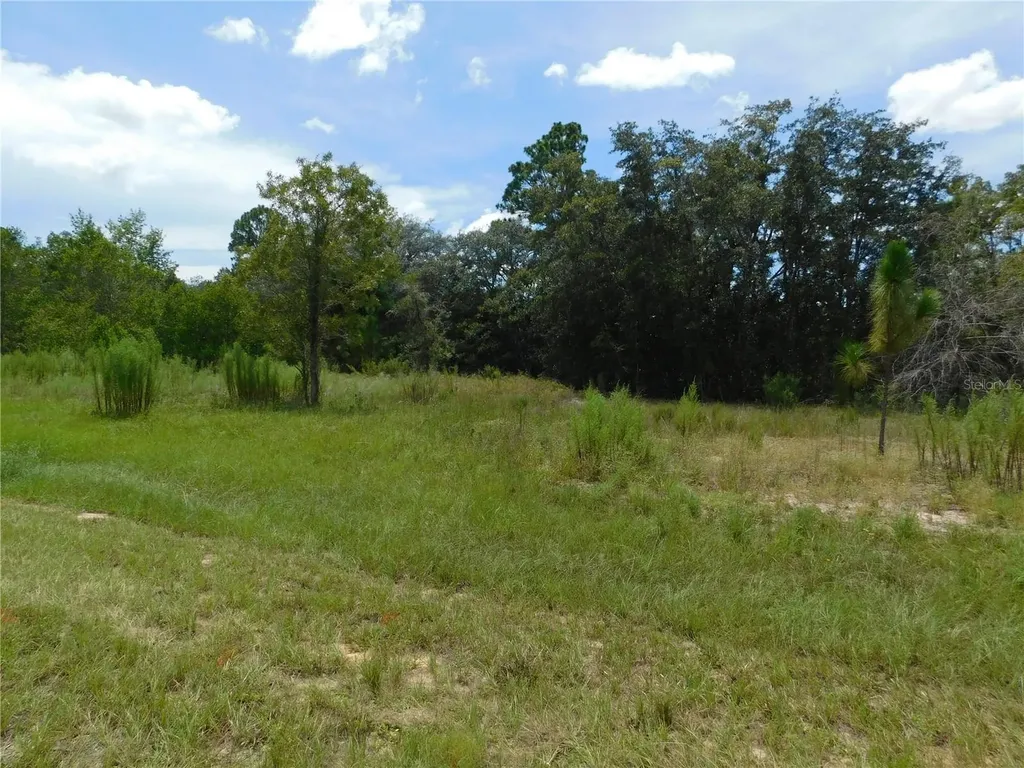 6681 N Bedstrow Boulevard Dunnellon FL 34434