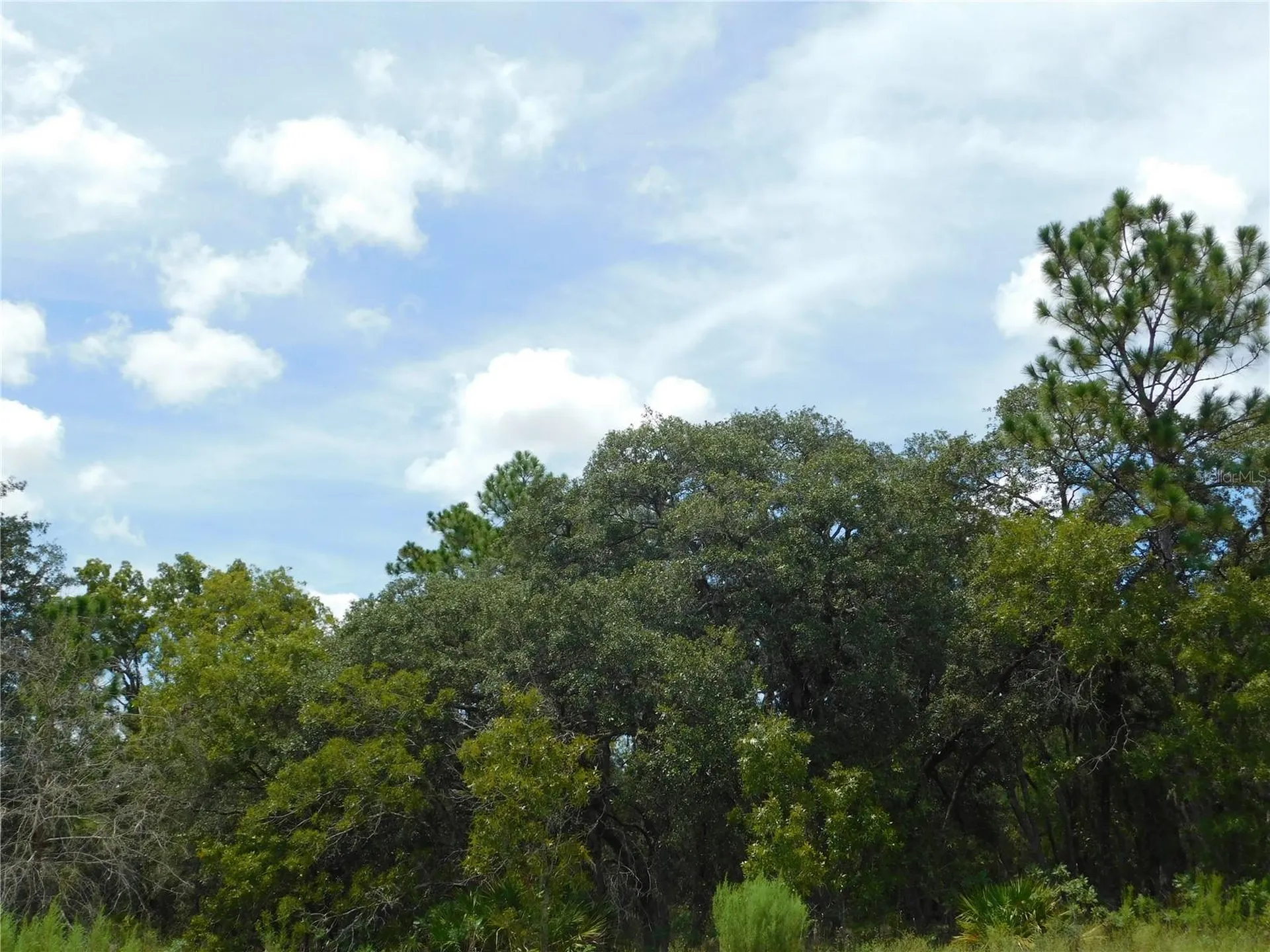 6681 N Bedstrow Boulevard Dunnellon FL 34434