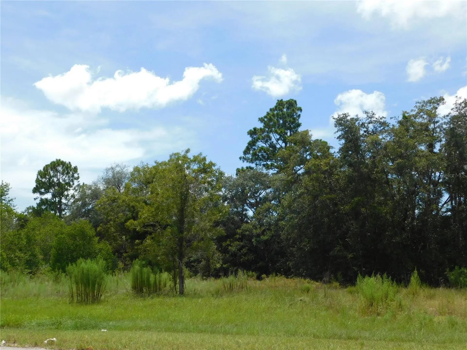 6681 N Bedstrow Boulevard Dunnellon FL 34434
