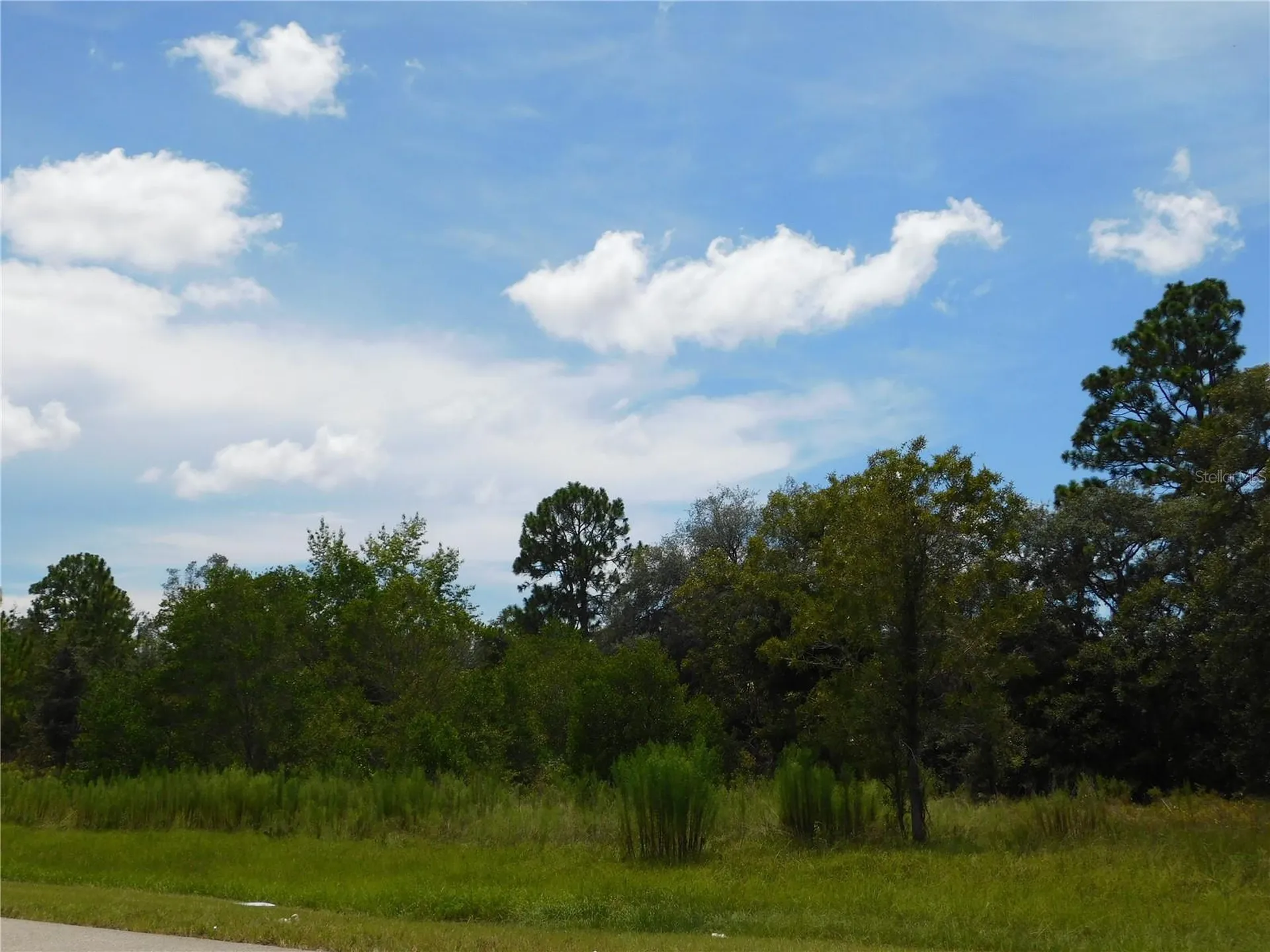 6681 N Bedstrow Boulevard Dunnellon FL 34434