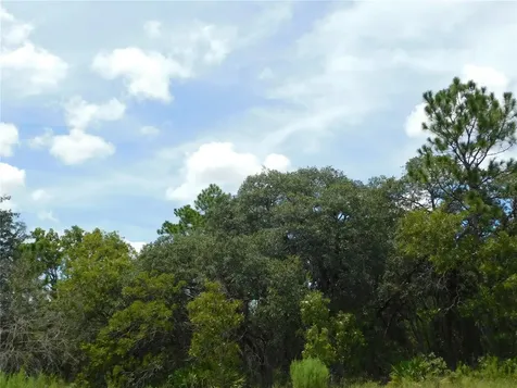 6681 N Bedstrow Boulevard Dunnellon FL 34434