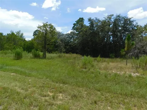 6681 N Bedstrow Boulevard Dunnellon FL 34434