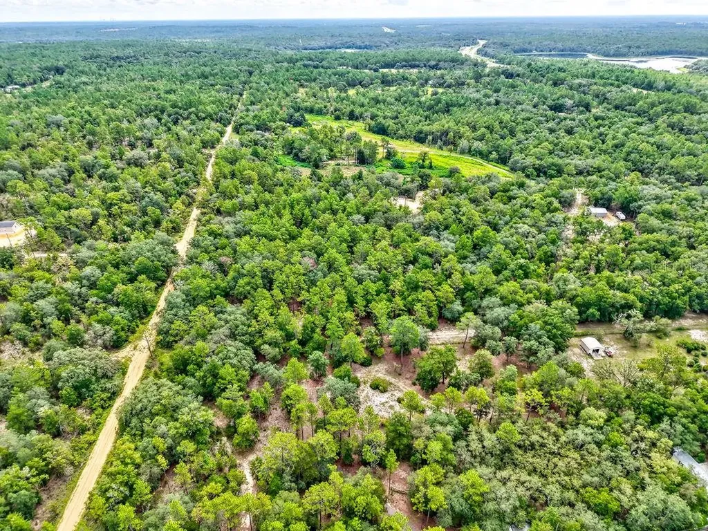 393 S Carolina Street Hawthorne FL 32640