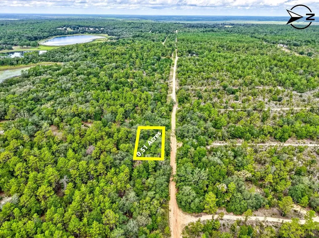 393 S Carolina Street Hawthorne FL 32640