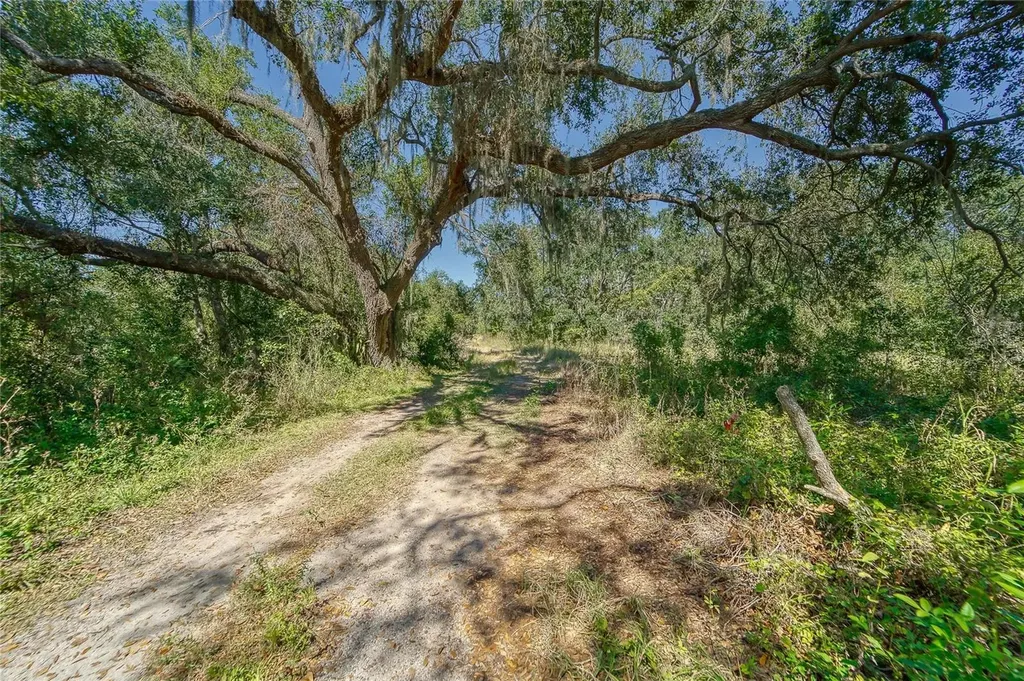 6930 Muck Pond Road Seffner FL 33584
