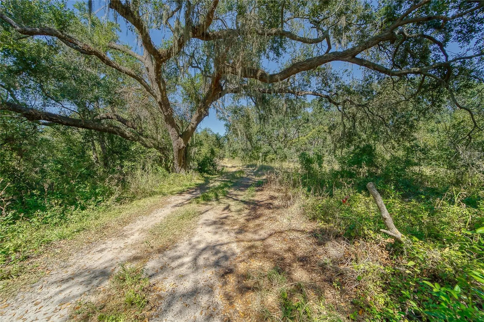 6930 Muck Pond Road Seffner FL 33584