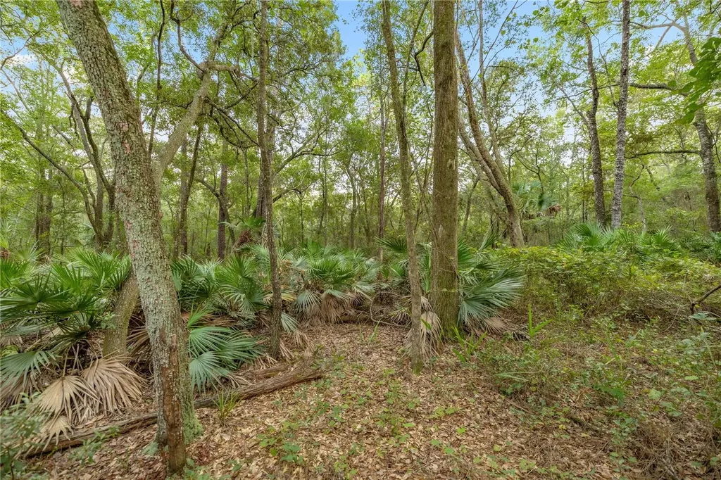 970 S County Road 21 Hawthorne FL 32640