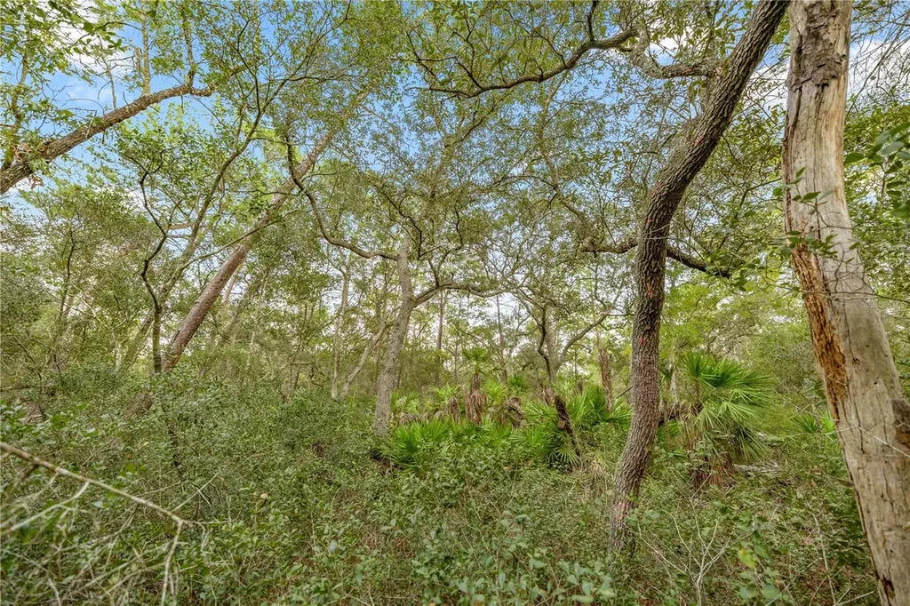 970 S County Road 21 Hawthorne FL 32640
