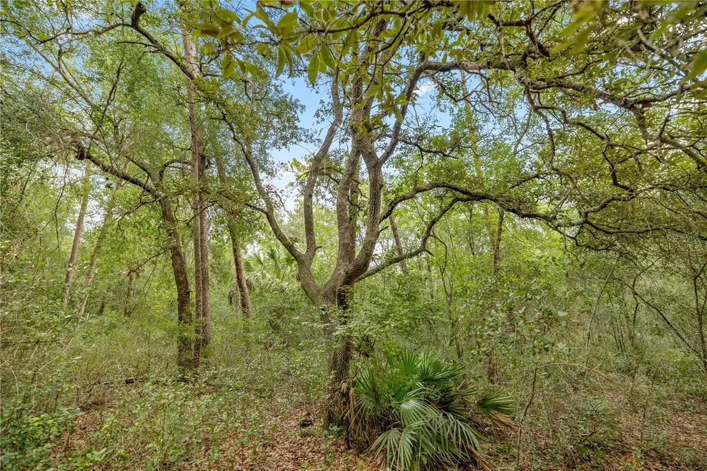 970 S County Road 21 Hawthorne FL 32640