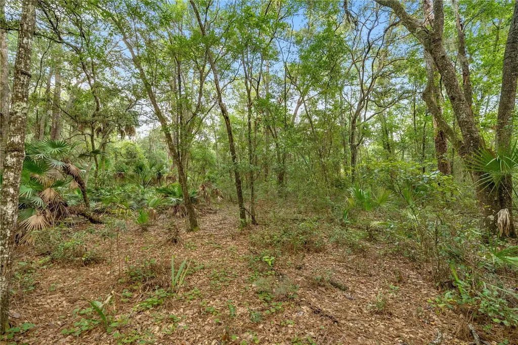 970 S County Road 21 Hawthorne FL 32640