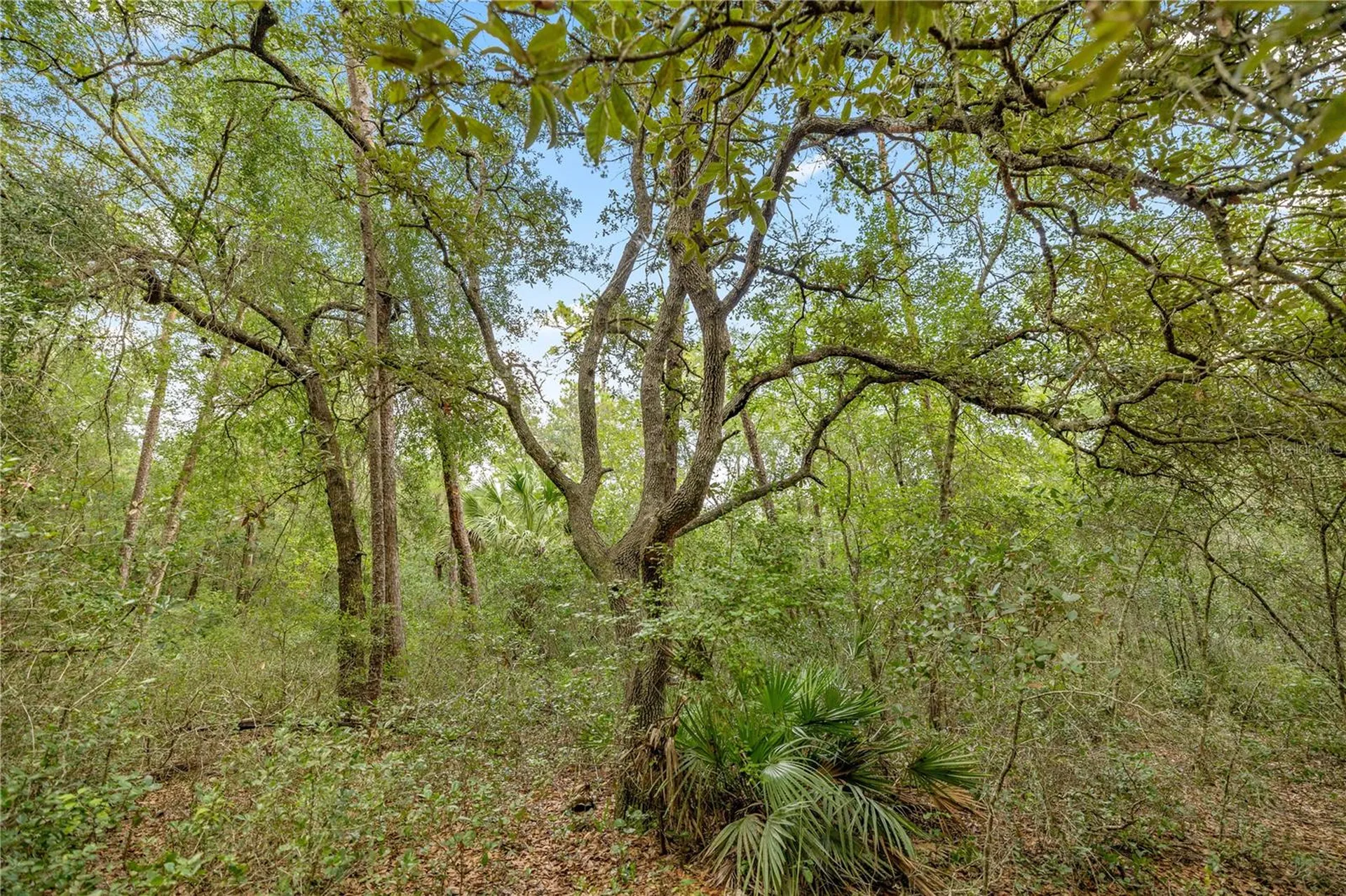 970 S County Road 21 Hawthorne FL 32640