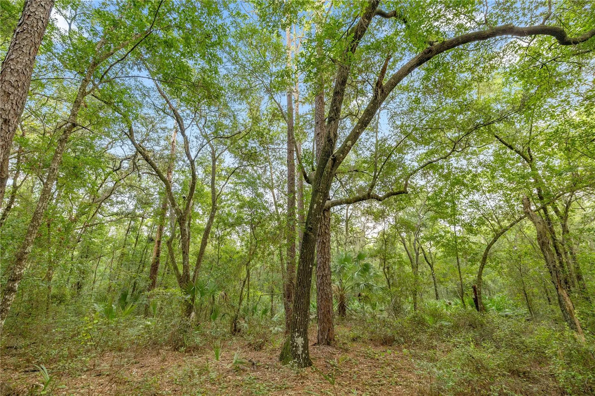 970 S County Road 21 Hawthorne FL 32640