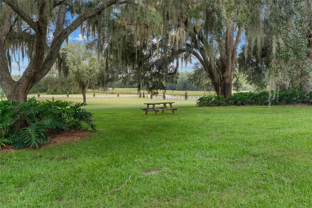 21679 SW 106th Lane Road Dunnellon FL 34431