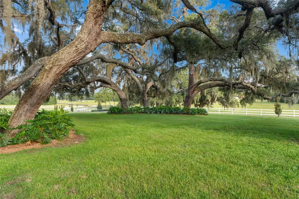 21679 SW 106th Lane Road Dunnellon FL 34431