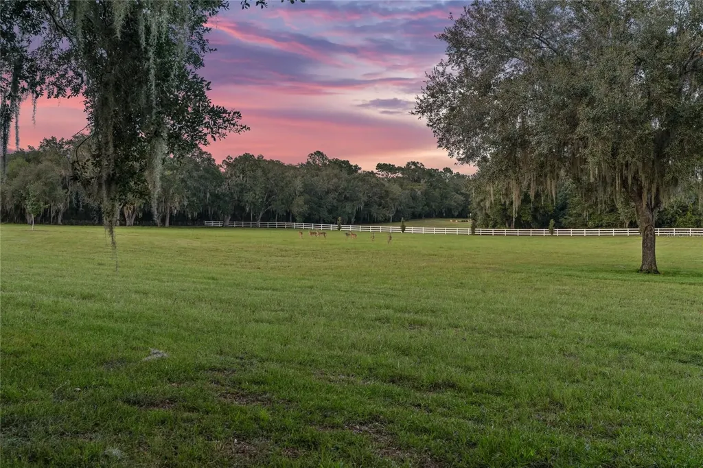 21679 SW 106th Lane Road Dunnellon FL 34431